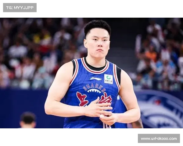 上海本土三将合砍45分,李弘权18分8篮板表现全面